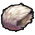 Finest fur