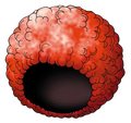 Thumbnail for version as of 02:31, 1 August 2025