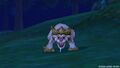 A Foo dog in X.