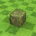 Thumbnail for version as of 16:02, 31 July 2025