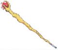 The wizard's staff from the Game Boy version of Dragon Quest II.
