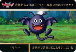 Dracky