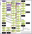 QnA chart (GBC)