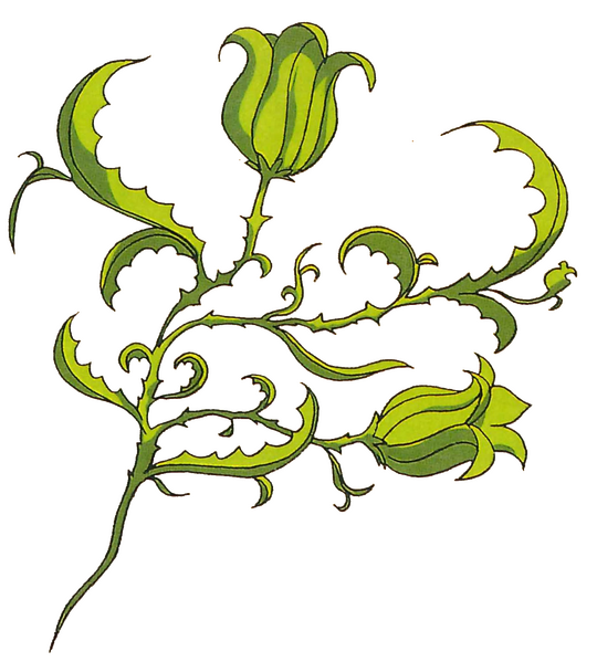 File:Pretty betsy 1995.png