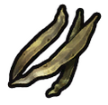 Thumbnail for version as of 02:30, 1 August 2025