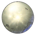 Thumbnail for version as of 02:32, 1 August 2025