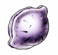 Seed of wisdom