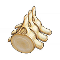 Thumbnail for version as of 02:37, 1 August 2025