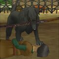 Sir Leopold killing David. (Cell phone)
