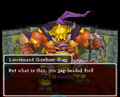 Dragon Quest IX scene.
