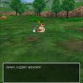 Jewelbag encountered.