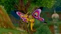 A Splutterfly in X.