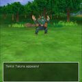 Seasaw encountered.