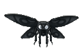 Thumbnail for version as of 02:36, 1 August 2025