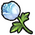 Freezia flower