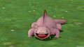 An Axolotl in X.